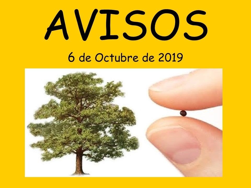 Avisos06octubre2019_01